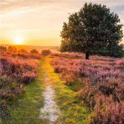 kok全站app官网登录入口